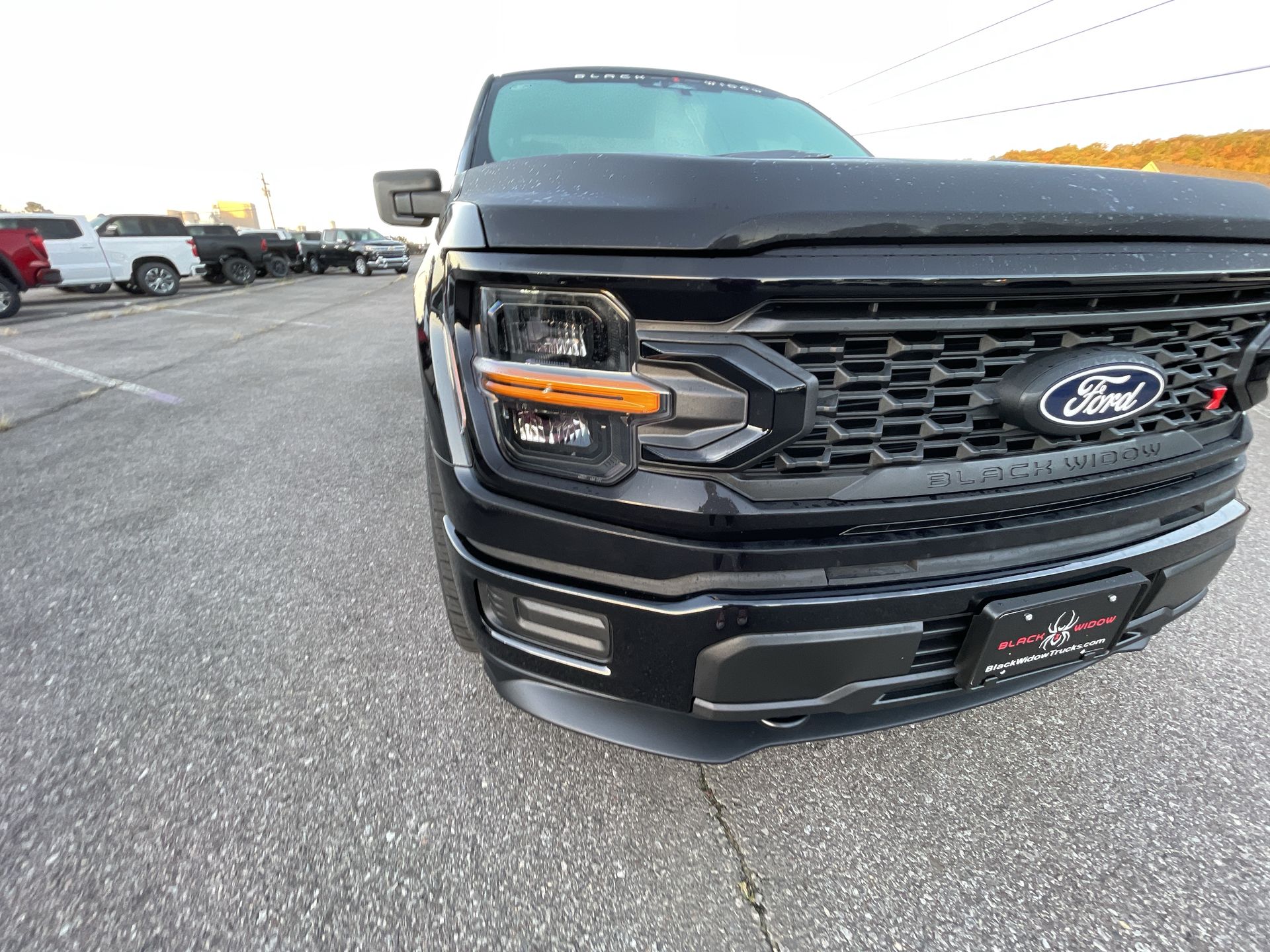 Vehicle Image 10