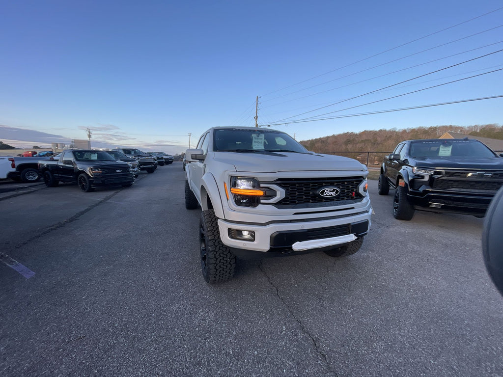 Vehicle Image 10