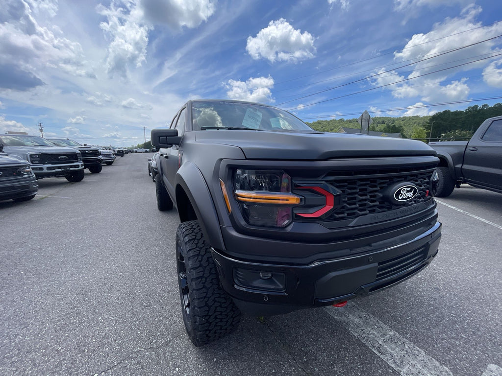 Vehicle Image 10