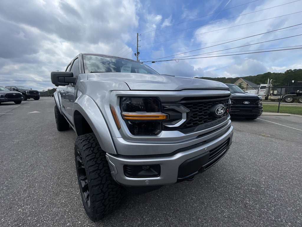 Vehicle Image 10